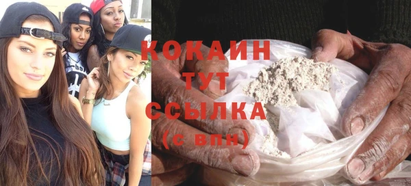 PSILOCYBIN Абаза